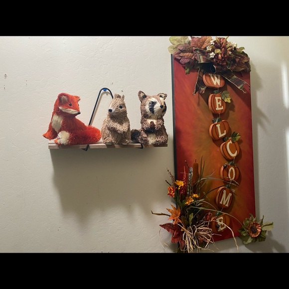 Meet your Posher, Tierney - Picture 14 of 15